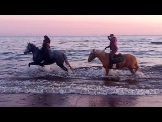 Видео от Верхом по морю. Конные прогулки Балтийское море.