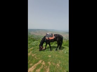 Видео от Кавказская Тропа