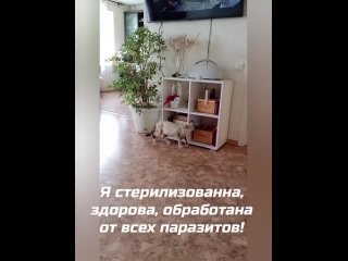 Video by Фабрика Веселья. Дети. Праздники. Аниматоры.