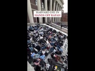 Gaza/Isral - Universit de Harvard organisent un  die-in  en soutien  la Palestine