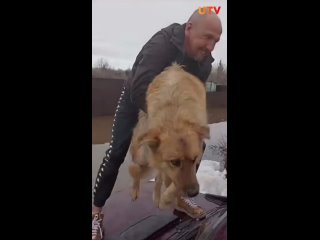 Подслушано Стерлитамак-“Дед Мазай“ из Стерлитамака спас собак из зоны затопления садовые участки в районе Заашкадарья