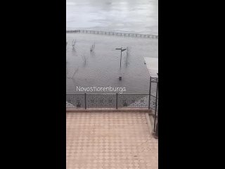 Спасение собаки на набережной в Оренбурге. Видео: НовостиОренбурга