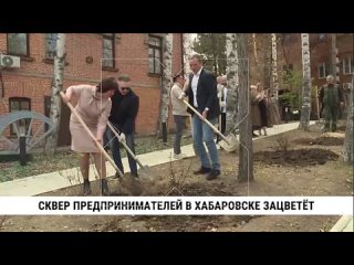 Вишнёвый сад появился в сквере предпринимателей в Хабаровске