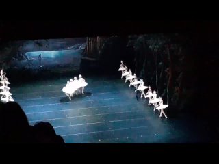 Танец маленьких лебедей. Балет Лебединое озеро П.И.Чайковский.  г. Мариинский Театр.
