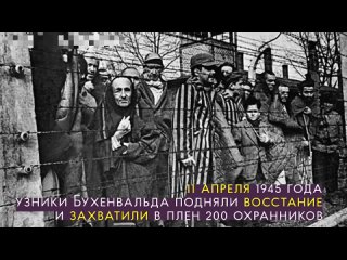 11 апреля день узников концлагерей.mp4