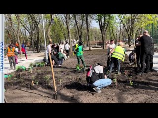 ️“Не только могучий, но и красивый город!“ Улицы Донецка украсили четыреста кустов роз