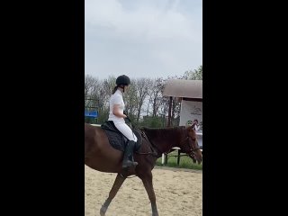 Video by РГБУ ДО «СШ по конному спорту”