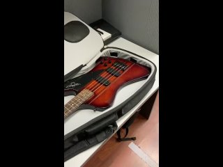 Bass Pro & Thunderbird - вариант использования чехла для нестандартных форм бас - гитар