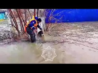 Казахстане наводнения 1