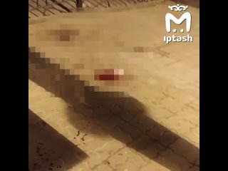 Полицейского ранили в живот во время драки в Казани