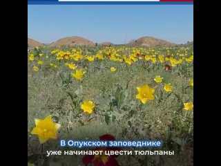 В Крыму открылись для посещения государственные природные заповедники «Опукский» и «Казантипский»