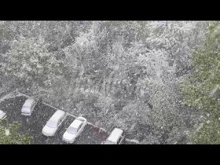 Весна отменяется: Москву накрывает снежная метель  из-за непогоды начали падать деревья