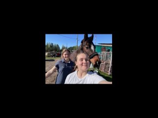 Видео от ТД Форт - КСК Успенская конница
