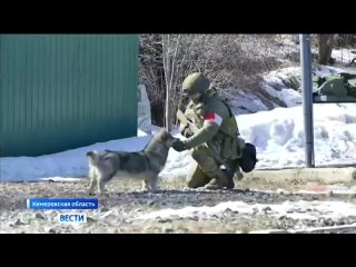 Выполнять боевые задачи в зоне СВО помогают 🐕четвероногие бойцы из Кемерово.