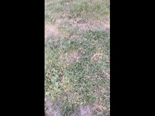 video_20240427_182512.mp4