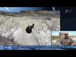 Видео от Khizri Edilsultanov