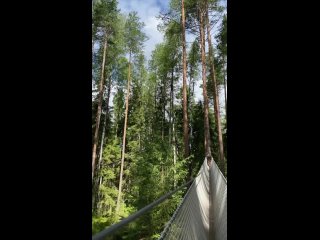 Video by Норвежский Парк (верёвочный парк) | СПб