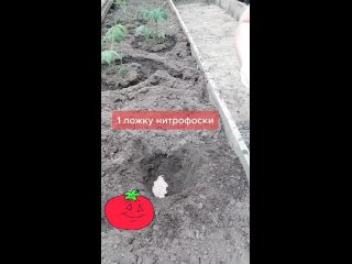 Видео от САДОВАЯ ФЕЯ  - Дача. Сад и Огород