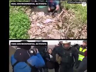 Настоящие эко-активисты