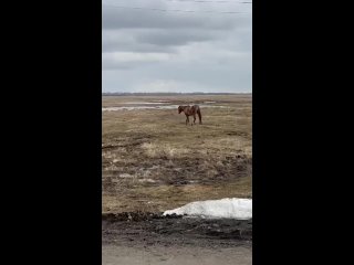 Ураза-Байрам в п. Маяк Кунашакского района .