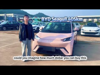 Fly like a Seagull: Explore the BYD Seagull for an Unforgettable Ride