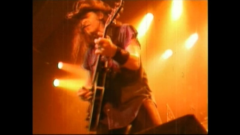 Ted Nugent - Grave