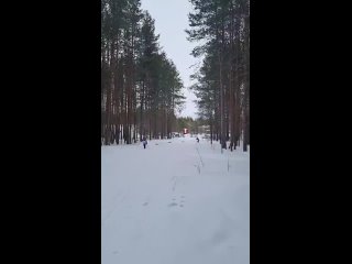 Видео от Лыжные гонки. Серебрякова Ирина Борисовна
