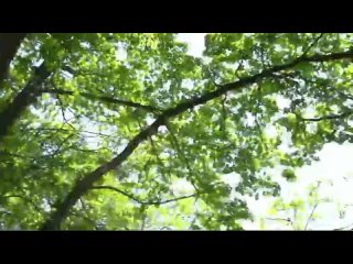 Sentimentale Клод Боллинг