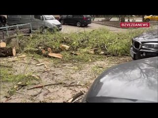 Дерево упало на человека и машины из-за сильного ветра на севере Москвы