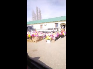 Video by «Глаза надежды»Котово.Помощь бездомным Животным.