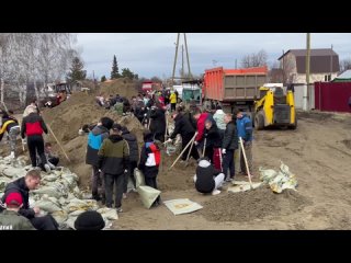 Руководители первичных отделений Движения Первых организуют группы волонтёров и работают круглосуточно