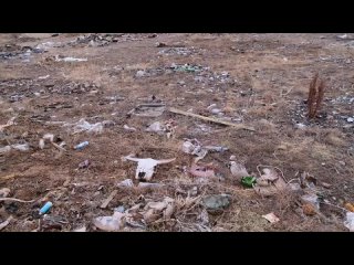 Свалка возле Аршана и в центре посёлка: мусорные проблемы Онохоя. Почему они не решаются