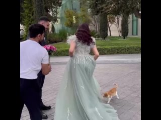 Котик замуж не отдаст!!!)))