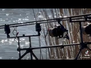 Видео от Рыбалка и Отдых дер.Коньки озеро Кудёрка