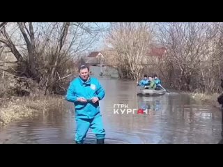 Собаку спасли из курганского СНТ “Просвещенец“