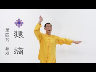 Оздоровительный Цигун Игры пяти зверей - У Цинь СиFive Animals Qigong - Wu Qin Xi -  - Цигун и Даоинь