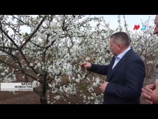 Крупнейший селекционный центр в сфере садоводства создадут в Волгоградской области