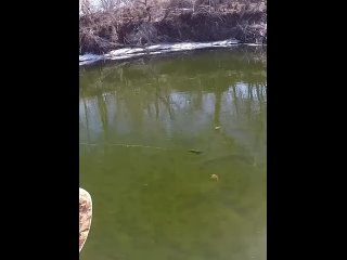 Video by Рыбалка с Охотой