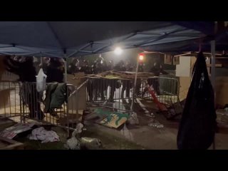 Podkov policie prolomila propalestinsk tbor na Kalifornsk univerzit v Los Angeles. Studentt demonstranti jsou zadrovn
