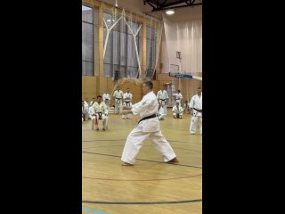 Видео от Анапская школа каратэ Шинкиокушинкай