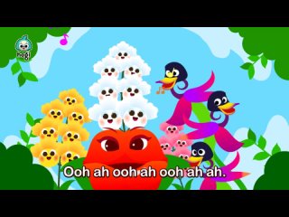 We Are Special Plants   Educational Children Song    Plants and Bugs Songs   Learn Science with Hogi