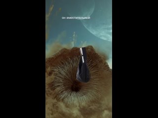 Сцены которые не попали в фильм #дюна #dune.