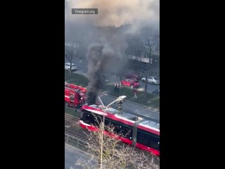 Трамвай с пассажирами на ходу загорелся в Петербурге, люди смогли быстро выбежать из полыхающего транспорта. На крыше сгорел ящи