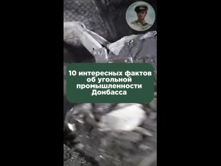 Топ-10 фактов о «чёрном золоте»