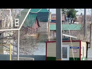 Анонимно СНТ "Локомотив" 20 апреля (видео)