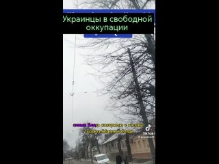 Запись эмоционального эфира из Мелитополя широко расходится по украинскому сегменту TikTok и чатам Telegram
