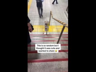 В японском метро ласточка свила гнездо, а работники не только не прогнали птицу, но и поставили специальную информационную табли