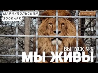 МАРИУПОЛЬСКИЙ ЗООПАРК - КАК ЭТО БЫЛО: