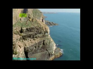 BBC «Животные от А до Я: Сапсан - лучший охотник природы» (Документальный, 2003)