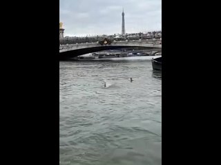 🦠 Перед Олимпийскими играми министр спорта Франции решила искупаться в водах Сены, которые были загрязнены.   Амели... (видео)